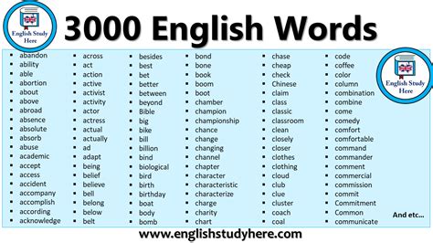 most common english words 3000